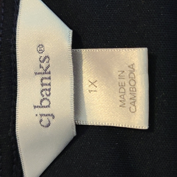 Women's cj banks Dress Tank Sheer Pattern w/ Navy Lining on inside. EUC. Size 1X - Picture 3 of 4